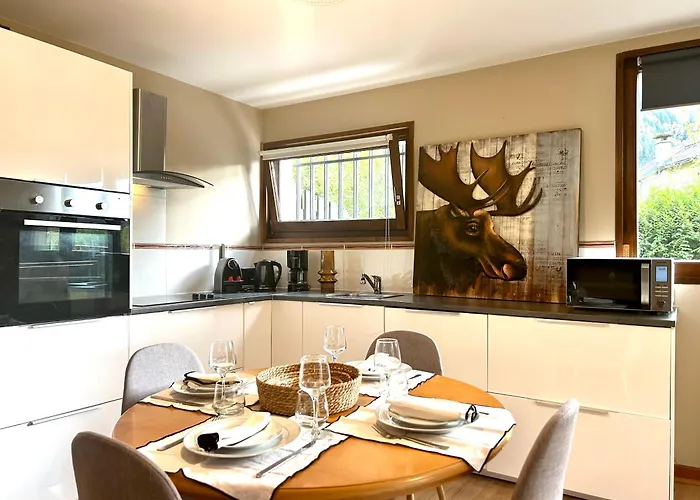 Apartment Style Avec Grande Terrasse Et Parking Prive Chamonix